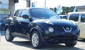 NISSAN JUKE 2010
