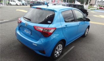 VITZ 18 full