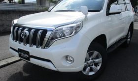 Land Cruiser Prado  TX 2016
