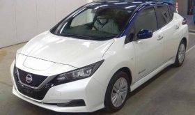 NISSAN LEAF 2018