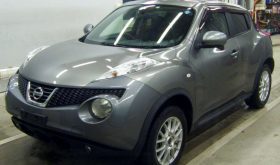 NISSAN JUKE 2011