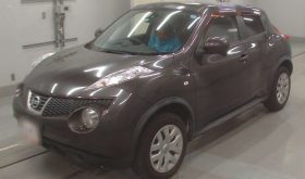 NISSAN JUKE 2010