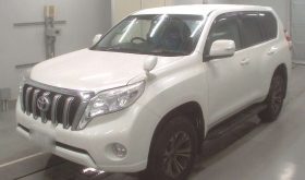 Land Cruiser Prado 2016