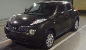 NISSAN JUKE 2011