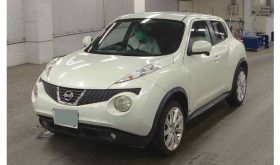 NISSAN JUKE 2010