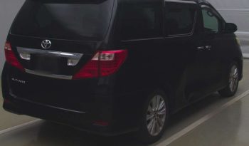 TOYOTA ALPHARD 2010 full