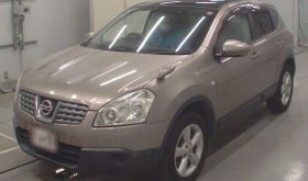 NISSAN DUALIS
