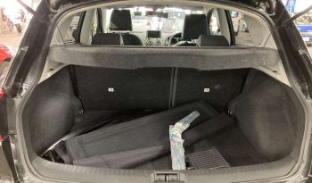 TOYOTA DUALIS full