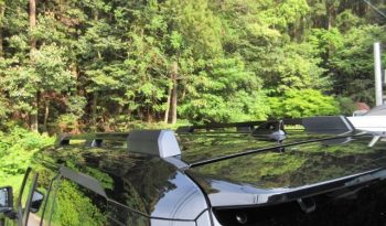 TOYOTA LAND CRUISER 250 full