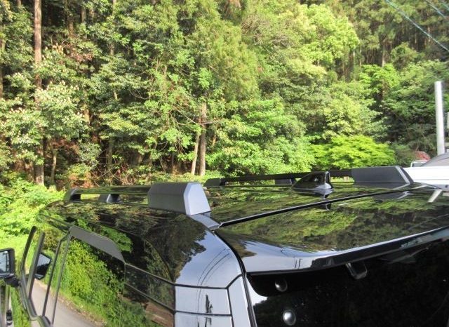 TOYOTA LAND CRUISER 250 full