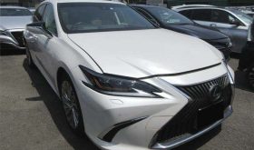 LEXUS ES300H