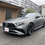 MERCEDES BENZ CLS 53 4 MATIC AMG CARBON PACKAGE