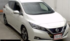 NISSAN LEAF 2019
