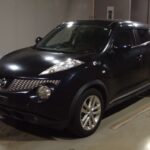 NISSAN JUKE  2013