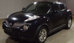NISSAN JUKE  2013