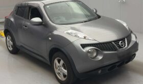 NISSAN JUKE 2013