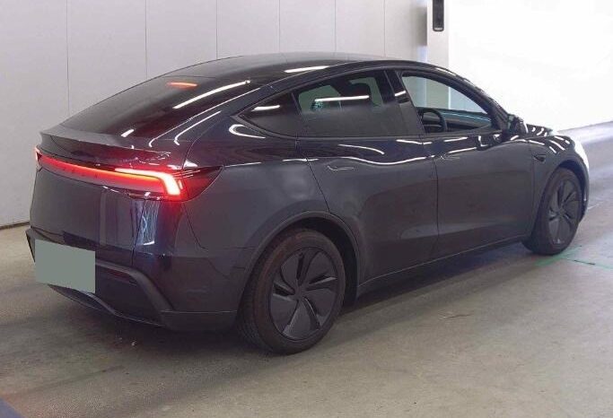 TESLA MODEL Y full