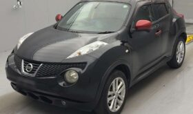 NISSAN JUKE 2011