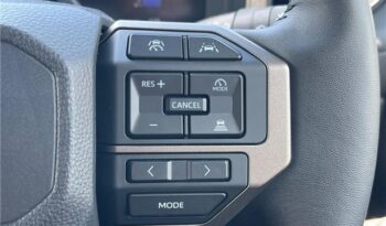 TOYOTA LAND CRUISER VX full