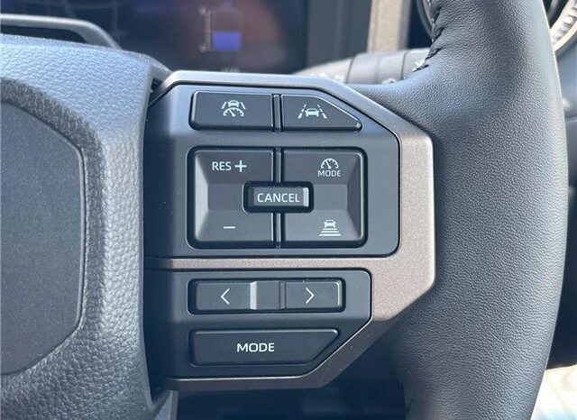 TOYOTA LAND CRUISER VX full