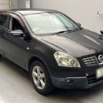 NISSAN DUALIS