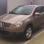 NISSAN DUALIS