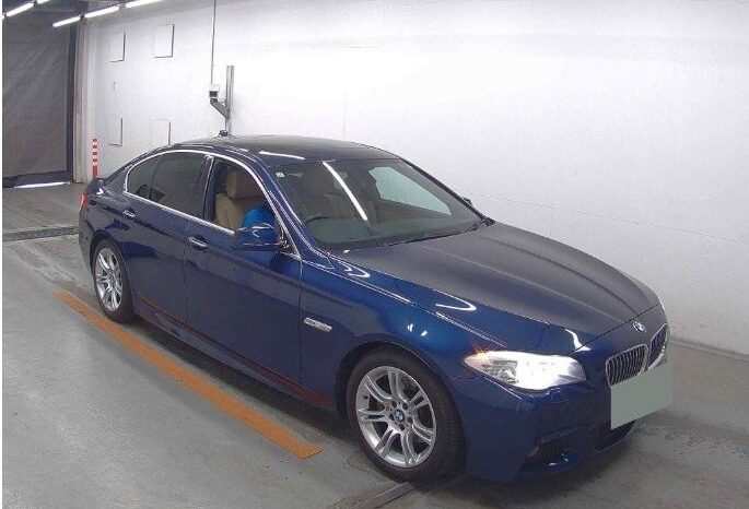 BMW 5 SERIES 2011 full