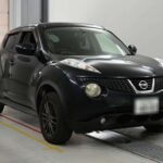 NISSAN JUKE 2011